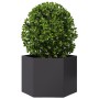 Black steel hexagonal planter 69x60x45 cm by , Pots and planters - Ref: Foro24-851122, Price: 57,44 €, Discount: %