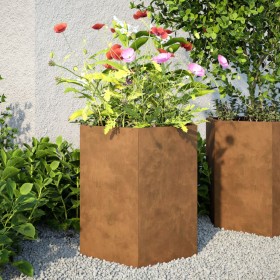 Jardinera hexagonal acero oxidado 46x40x45 cm de , Maceteros y jardineras - Ref: Foro24-851120, Precio: 42,73 €, Descuento: %