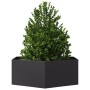 Sechseckiger schwarzer Stahl-Blumenkasten 138x120x45 cm von , Töpfe und Pflanzgefäße - Ref: Foro24-851136, Preis: 89,26 €, Ra...