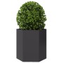 Black steel hexagonal planter 46x40x45 cm by , Pots and planters - Ref: Foro24-851108, Price: 44,99 €, Discount: %