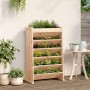 Planter herbs 6 levels solid pine wood 69x40x101.5 cm by , Pots and planters - Ref: Foro24-855053, Price: 73,70 €, Discount: %