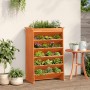 Planter herb 6 levels solid wood brown 69x40x101.5 cm by , Pots and planters - Ref: Foro24-855050, Price: 104,01 €, Discount: %