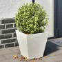 Blumenkästen 2 Stück weißer Stahl 30x30x30 cm von , Töpfe und Pflanzgefäße - Ref: Foro24-851041, Preis: 52,77 €, Rabatt: %