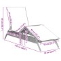 Sun loungers with cushions, 2 units, synthetic gray rattan by , Loungers - Ref: Foro24-3261580, Price: 275,34 €, Discount: %