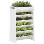 Planter herbs 6 levels solid white wood 69x40x101.5 cm by , Pots and planters - Ref: Foro24-855054, Price: 86,99 €, Discount: %