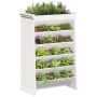 Planter herbs 6 levels solid white wood 69x40x101.5 cm by , Pots and planters - Ref: Foro24-855049, Price: 104,01 €, Discount: %