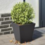 2 black steel planters 30x30x30 cm by , Pots and planters - Ref: Foro24-851039, Price: 51,99 €, Discount: %