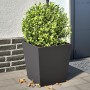 2 black steel planters 40x40x40 cm by , Pots and planters - Ref: Foro24-851053, Price: 83,47 €, Discount: %