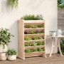 Planter herbs 6 levels solid pine wood 69x40x101.5 cm by , Pots and planters - Ref: Foro24-855048, Price: 87,97 €, Discount: %