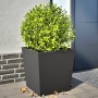 2 black steel planters 50x50x50 cm by , Pots and planters - Ref: Foro24-851067, Price: 111,32 €, Discount: %