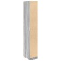 Armario de madera de ingeniería gris Sonoma 30x50x200 cm de , Armarios roperos - Ref: Foro24-3307743, Precio: 145,82 €, Descu...