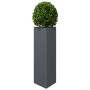 Jardineras 2 uds acero gris antracita 30x26x75 cm de , Maceteros y jardineras - Ref: Foro24-851148, Precio: 88,44 €, Descuent...