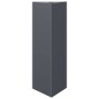 Triangular planter in anthracite grey steel, 30x26x75 cm. by , Pots and planters - Ref: Foro24-851147, Price: 53,24 €, Discou...