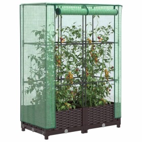 Raised bed with greenhouse cover in rattan appearance 80x40x123 cm by , Pots and planters - Ref: Foro24-4015796, Price: 56,99...