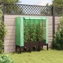 Raised bed with greenhouse cover in rattan appearance 120x40x140 cm by , Pots and planters - Ref: Foro24-4015806, Price: 91,0...