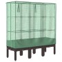 Raised bed with greenhouse cover in rattan appearance 120x40x140 cm by , Pots and planters - Ref: Foro24-4015806, Price: 91,0...