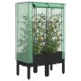 Raised bed with greenhouse cover in rattan look 80x40x140 cm by , Pots and planters - Ref: Foro24-4015819, Price: 67,91 €, Di...