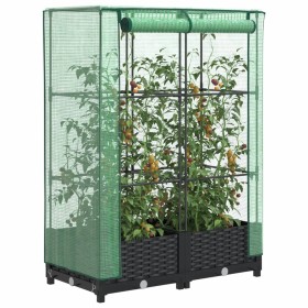 Raised bed with greenhouse cover in rattan appearance 80x40x123 cm by , Pots and planters - Ref: Foro24-4015810, Price: 56,40...