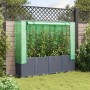 Garden bed with greenhouse cover in rattan look 160x40x153 cm by , Pots and planters - Ref: Foro24-4015831, Price: 141,38 €, ...