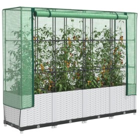 Raised bed with greenhouse cover in rattan look 160x40x138 cm by , Pots and planters - Ref: Foro24-4015844, Price: 104,99 €, ...