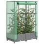 Raised bed with greenhouse cover in rattan appearance 80x40x123 cm by , Pots and planters - Ref: Foro24-4015852, Price: 64,49...