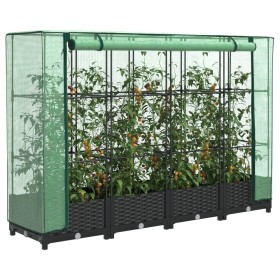 Garden bed with greenhouse cover in rattan look 160x40x123 cm by , Pots and planters - Ref: Foro24-4015812, Price: 90,11 €, D...