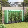 Garden bed with greenhouse cover in rattan look 160x40x123 cm by , Pots and planters - Ref: Foro24-4015812, Price: 90,11 €, D...