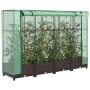 Garden bed with greenhouse cover in rattan look 160x40x123 cm by , Pots and planters - Ref: Foro24-4015798, Price: 90,11 €, D...