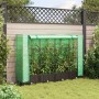 Garden bed with greenhouse cover in rattan look 160x40x123 cm by , Pots and planters - Ref: Foro24-4015798, Price: 90,11 €, D...