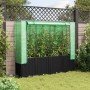 Garden bed with greenhouse cover in rattan look 160x40x153 cm by , Pots and planters - Ref: Foro24-4015817, Price: 141,38 €, ...