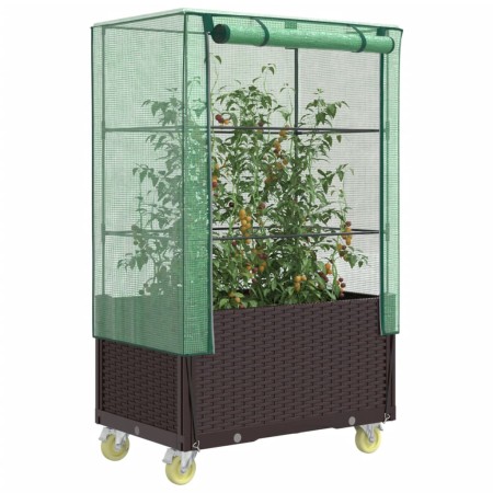 Raised bed with greenhouse cover in rattan look 80x50x182 cm by , Pots and planters - Ref: Foro24-4015808, Price: 124,86 €, D...