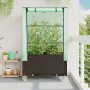 Raised bed with greenhouse cover in rattan look 80x50x182 cm by , Pots and planters - Ref: Foro24-4015808, Price: 124,86 €, D...