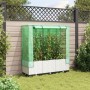 Raised bed with greenhouse cover in rattan look 120x40x138 cm by , Pots and planters - Ref: Foro24-4015843, Price: 87,92 €, D...