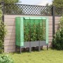 Raised bed with greenhouse cover in rattan appearance 120x40x140 cm by , Pots and planters - Ref: Foro24-4015862, Price: 91,0...