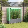 Raised bed with greenhouse cover in rattan look 120x40x138 cm by , Pots and planters - Ref: Foro24-4015857, Price: 87,92 €, D...