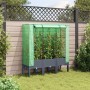 Raised bed with greenhouse cover in rattan appearance 120x40x140 cm by , Pots and planters - Ref: Foro24-4015834, Price: 91,0...