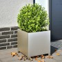 Stainless steel planter 40x40x40 cm by , Pots and planters - Ref: Foro24-851207, Price: 84,99 €, Discount: %