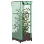 Raised bed with greenhouse cover in rattan look 40x40x123 cm by , Pots and planters - Ref: Foro24-4015795, Price: 36,80 €, Di...