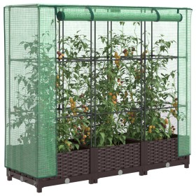 Raised bed with greenhouse cover in rattan look 120x40x123 cm by , Pots and planters - Ref: Foro24-4015797, Price: 74,99 €, D...