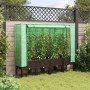 Raised bed with greenhouse cover in rattan appearance 160x40x140 cm by , Pots and planters - Ref: Foro24-4015807, Price: 111,...