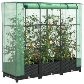 Raised bed with greenhouse cover in rattan look 120x40x123 cm by , Pots and planters - Ref: Foro24-4015811, Price: 74,27 €, D...