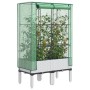 Raised bed with greenhouse cover in rattan look 80x40x140 cm by , Pots and planters - Ref: Foro24-4015847, Price: 69,96 €, Di...