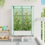 Raised bed with greenhouse cover in rattan look 80x40x140 cm by , Pots and planters - Ref: Foro24-4015847, Price: 69,96 €, Di...