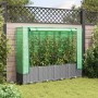 Raised bed with greenhouse cover in rattan look 160x40x138 cm by , Pots and planters - Ref: Foro24-4015858, Price: 103,94 €, ...