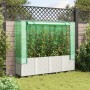 Garden bed with greenhouse cover in rattan look 160x40x153 cm by , Pots and planters - Ref: Foro24-4015845, Price: 148,59 €, ...