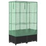 Raised bed with greenhouse cover in rattan look 80x40x138 cm by , Pots and planters - Ref: Foro24-4015814, Price: 66,17 €, Di...