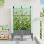 Raised bed with greenhouse cover in rattan look 80x40x140 cm by , Pots and planters - Ref: Foro24-4015861, Price: 67,91 €, Di...