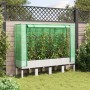 Raised bed with greenhouse cover in rattan appearance 160x40x140 cm by , Pots and planters - Ref: Foro24-4015849, Price: 116,...