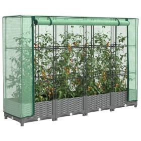 Garden bed with greenhouse cover in rattan look 160x40x123 cm by , Pots and planters - Ref: Foro24-4015854, Price: 90,11 €, D...