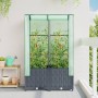 Raised bed with greenhouse cover in rattan look 80x40x138 cm by , Pots and planters - Ref: Foro24-4015828, Price: 66,17 €, Di...